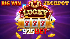 925bet App Interface